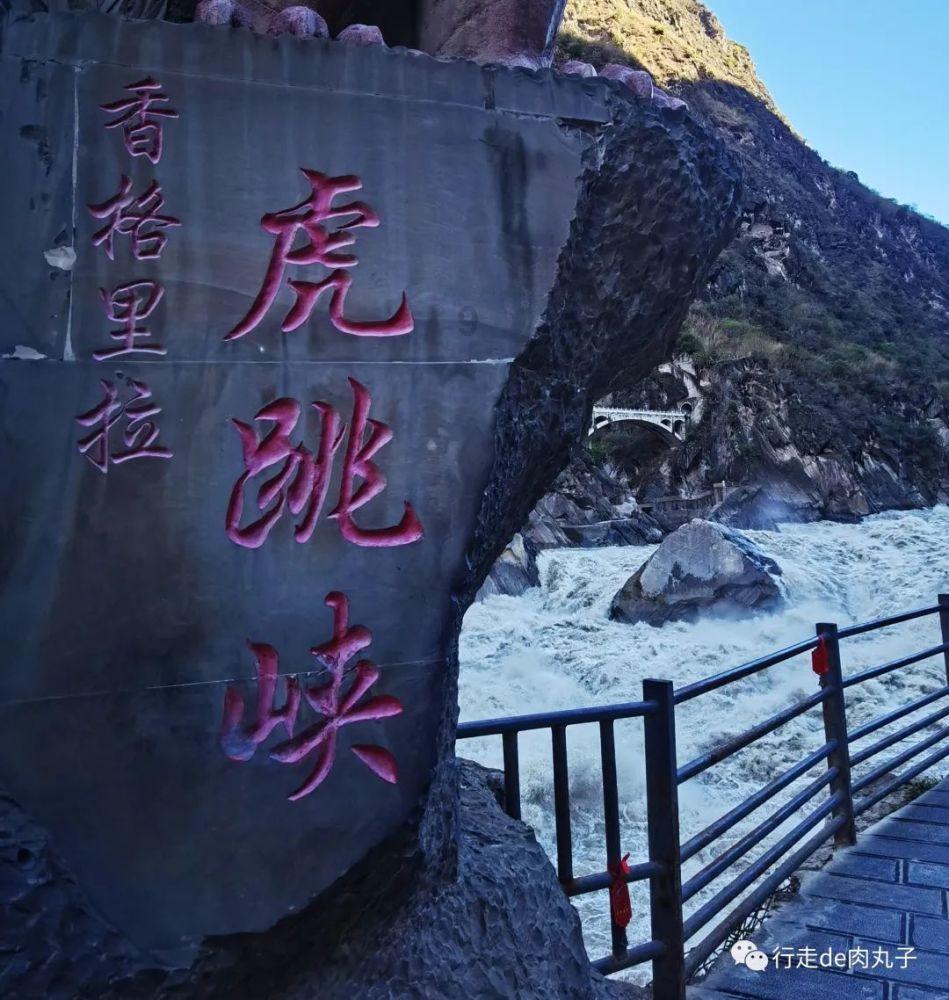 口袋侏罗纪