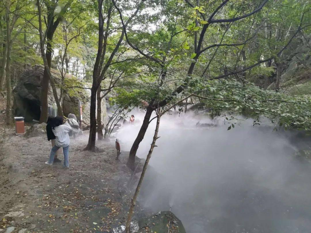 周涛、曹颖、俞灏明等共同寻找城市年味 抖音《星耀华夏年味纪》正式上线